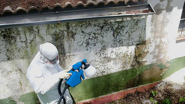 Top rated local Mold Remediation specialists in Horsham, PA